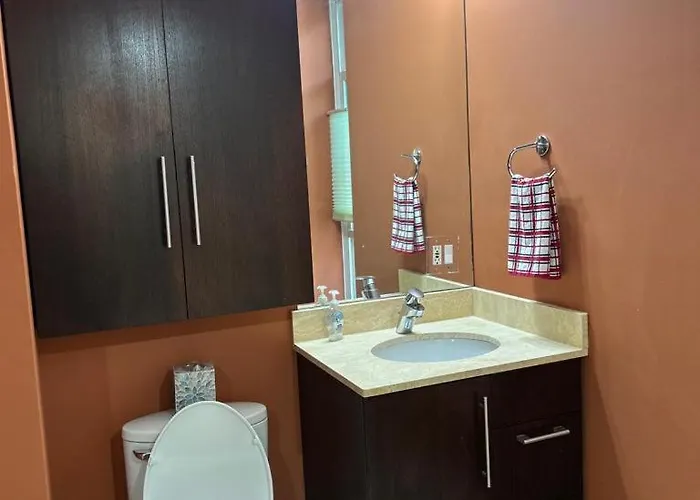 Gorgeous North Kenwood Hyde Park Unit Apartment Chicago